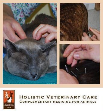Holistic Vet Care
