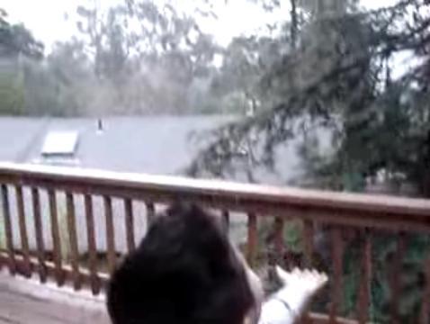 Montclair Joy Of Snow Montclair Joy Of Snow