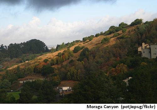Moraga Canyon