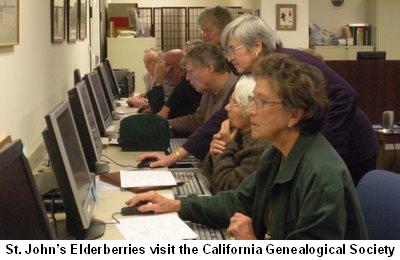 St. John's Elderberries