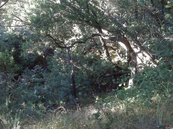 Butters Canyon - View 1- Sept 23, 2009 Butters Canyon - View 1- Sept 23, 2009