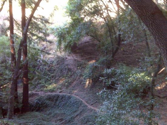 Butters Canyon - View 3 - Sept 23, 2009 Butters Canyon - View 3 - Sept 23, 2009