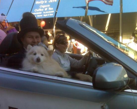 Halloween 2009 - Dog Mayor