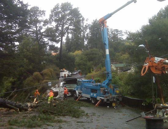 Merriewood - Tree Cleanup Merriewood - Tree Cleanup